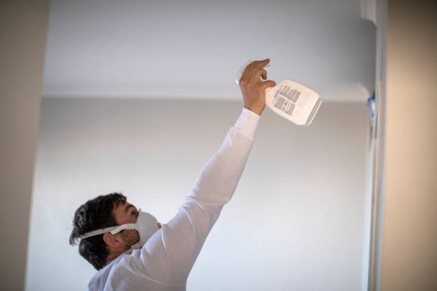 Best Black Mold Removal  in Anderson Island, WA