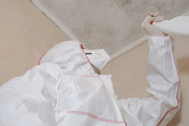 Best Professional Mold Removal  in Anderson Island, WA