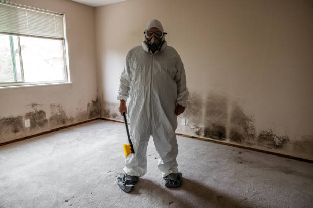 Best Commercial Mold Removal  in Anderson Island, WA